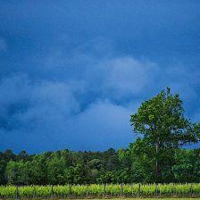 Sanctuary Vineyards Outer Banks Winery