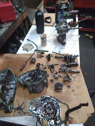 Wilson Cycle Works