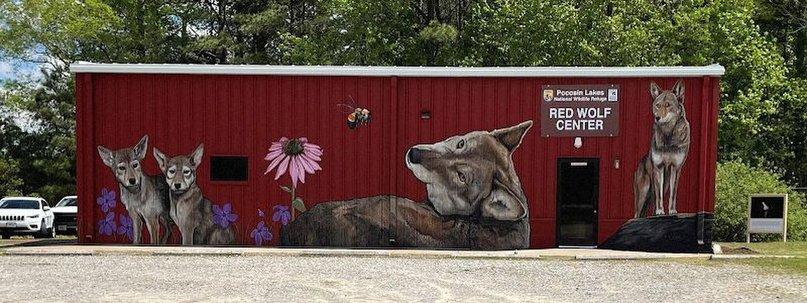 Pocosin Lakes National Wildlife Refuge - Red Wolf Center