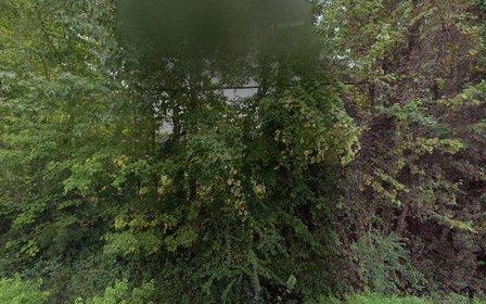 Out On A Limb Tree Services
