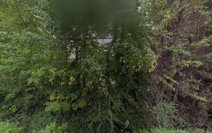 Out On A Limb Tree Services