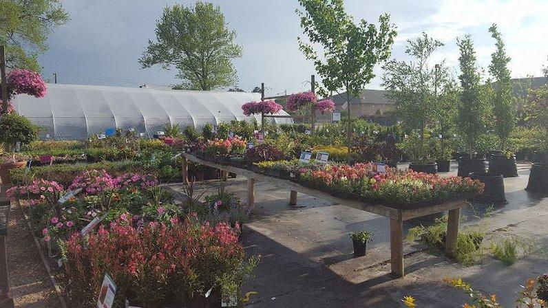 The Plant Park