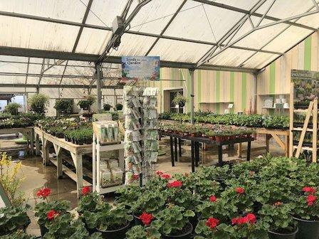 The Happy Daisy Garden Center
