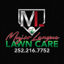 Major League Lawn Care