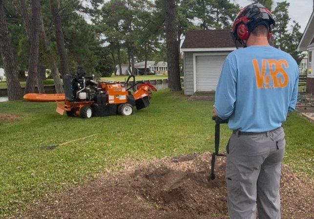 VRS Tree Care LLC