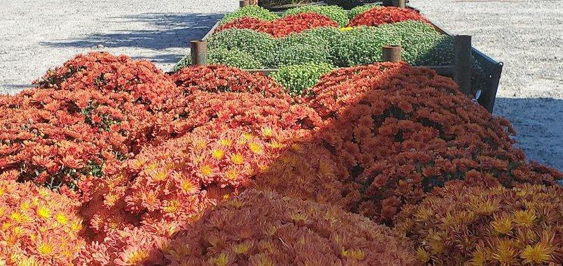 Turf & Garden, Inc.