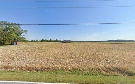 Carolina Country Clean