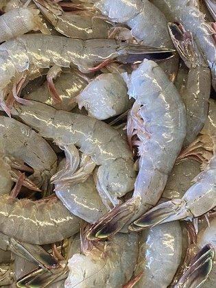 Diamond Shoal Shrimp Co.