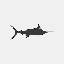 Hatteras Blue Sportfishing Charters