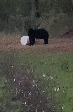 Dismal Swamp Outfitters LLC