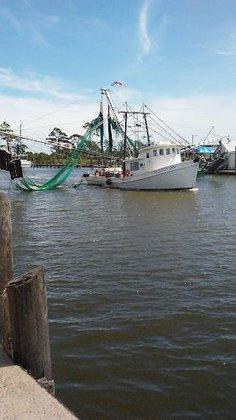 Engelhard Seafood