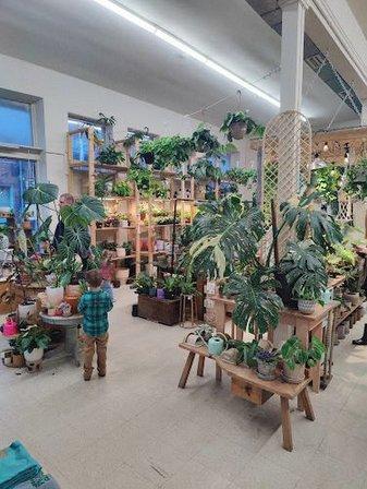 Roots Plant Company