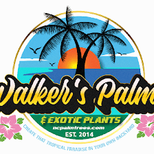 Walkers Palms and Exotic Plants
