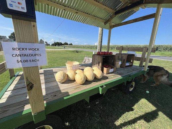 Indiantown Harvest LLC
