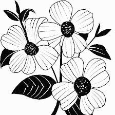 Dogwood Property Management