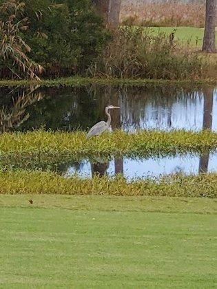Outer Banks Golf