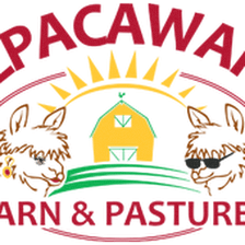 Alpacawaka Barn and Pastures