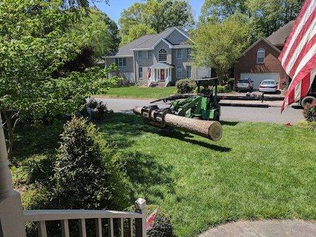 Little Scott’s tree care