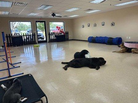 ABTK9 Dog Training, Boarding, and Enrichment Center
