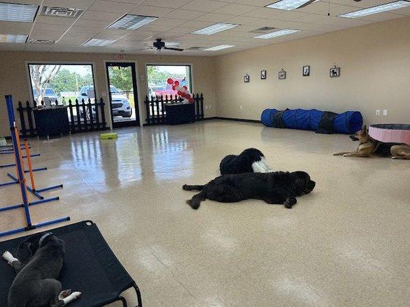 ABTK9 Dog Training, Boarding, and Enrichment Center