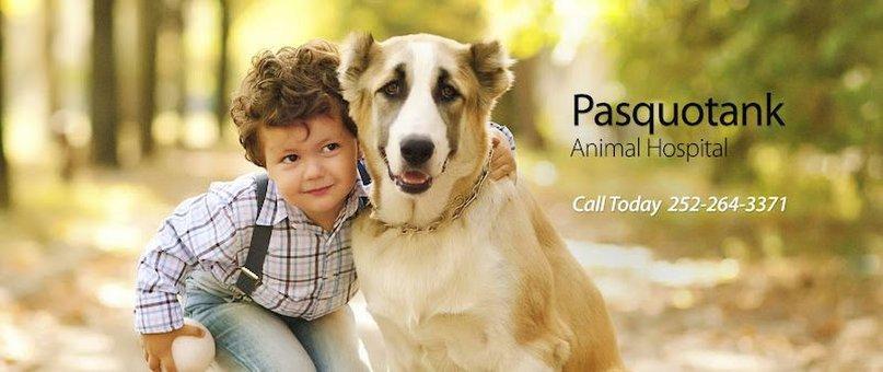 Pasquotank Animal Hospital
