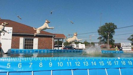Eastern Pet Company