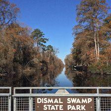 Dismal Swamp State Park