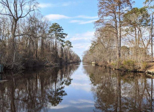 Dismal Swamp State Park