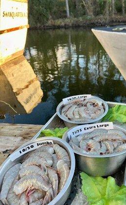 Hobo Seafood