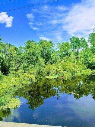 Pungo River Game Land