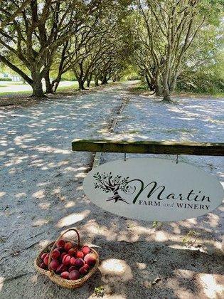 Martin Farm and Winery
