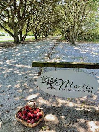 Martin Farm and Winery