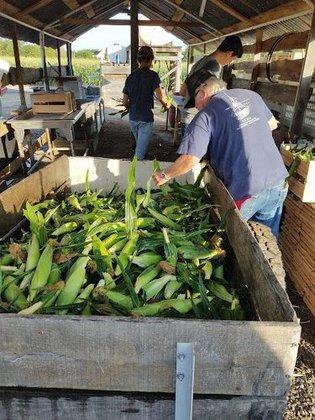 JC Rose Farms Produce