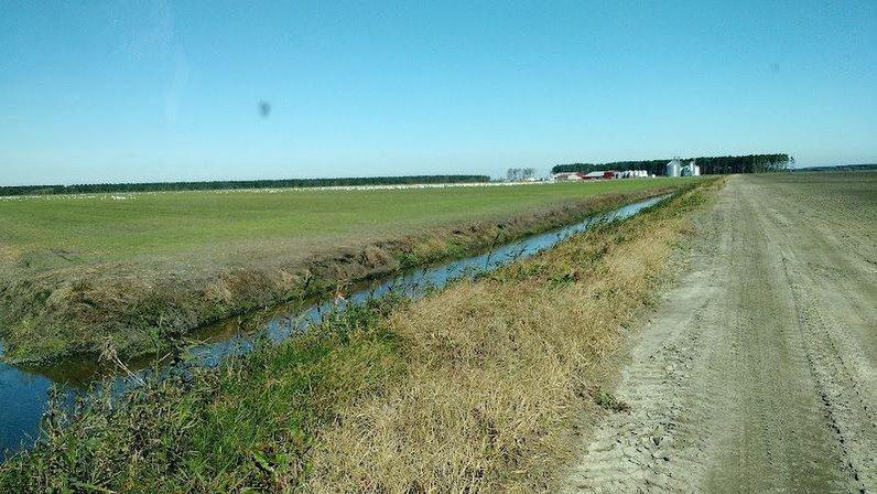 Green Valley Farms