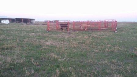Larabee Farms