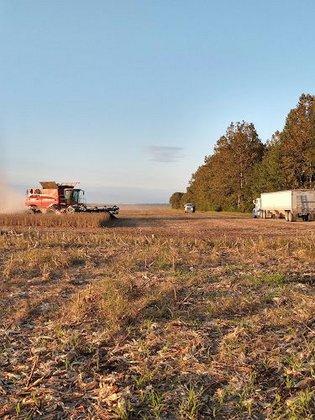 Meherrin Agricultural & Chem