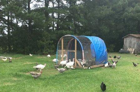 Southern Dreams Farm, LLC