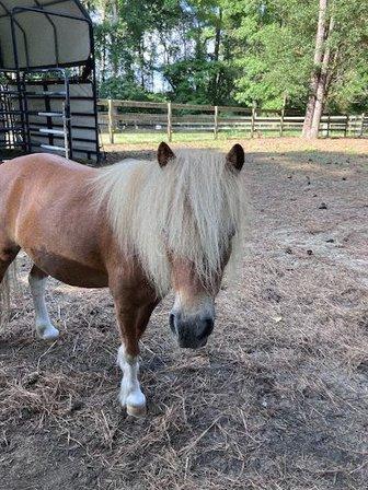 LDB Farm and Animal Sanctuary