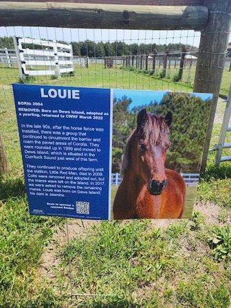 Betsy Dowdy Equine Center
