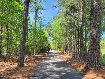 Dismal Swamp Trail