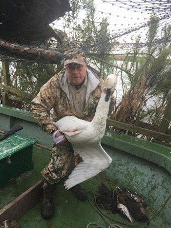 Guided Swan Hunts NC