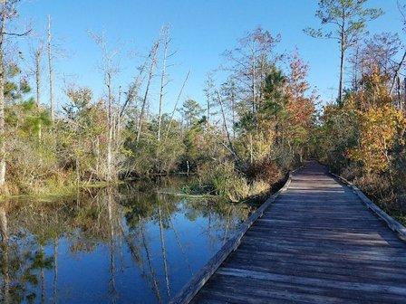 Alligator River National Wildlife Refuge