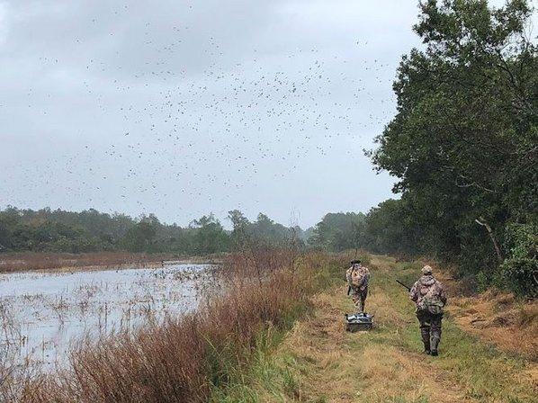 Lux Farms Hunting