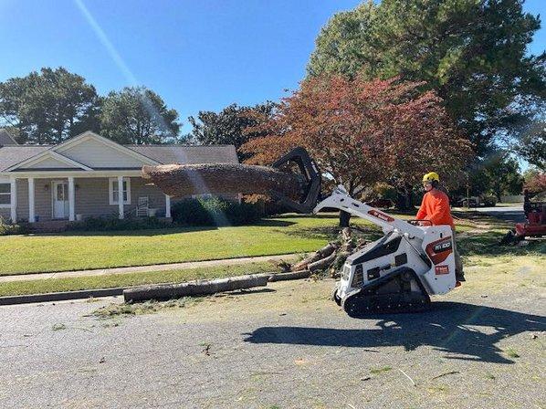 High Top Tree & Landscape, LLC