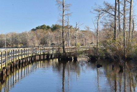 Fenwick-Hollowell Wetlands Trail