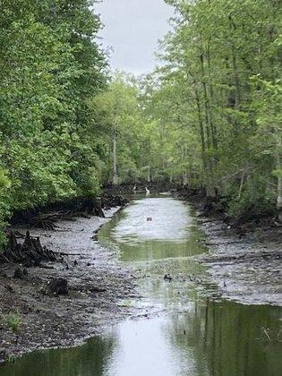 North River Game Land