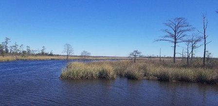 North River Game Land Dedicated Nature Preserve