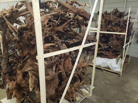 Compass Rose Driftwood And Aquatics Supply