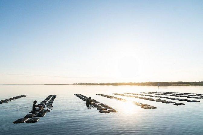 Kinnakeet Oyster Company