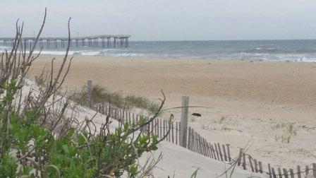 Joan Williams, Associate Broker NC 12 Realty